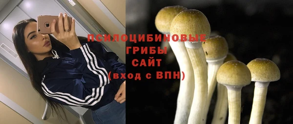 эйфоретик Вяземский